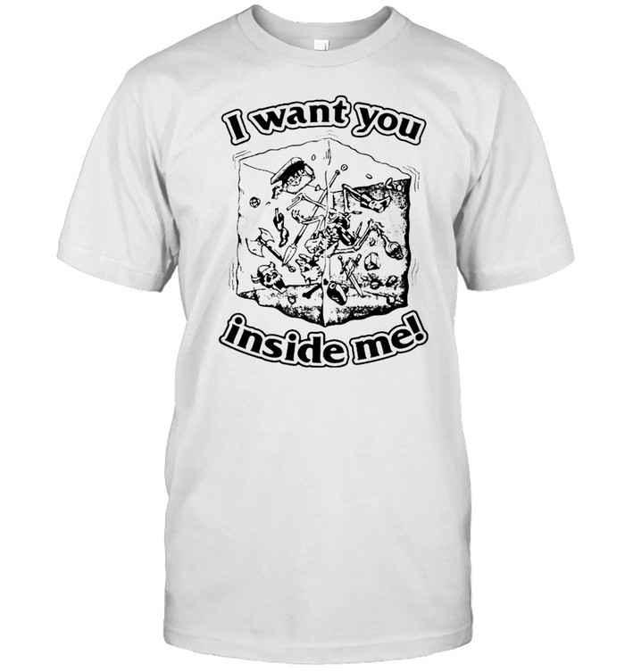 Dungeons & Dragons I want you inside me shirt