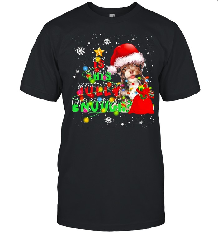 is This Jolly Enough Merry Christmas Havanese shirt Classic Men's T-shirt