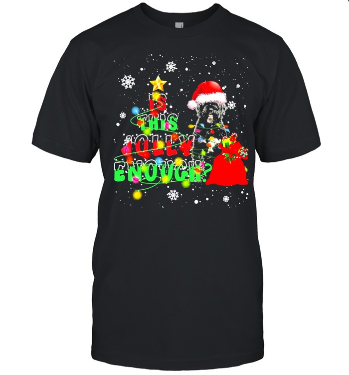 is This Jolly Enough Merry Christmas Portuguese Water Dog shirt