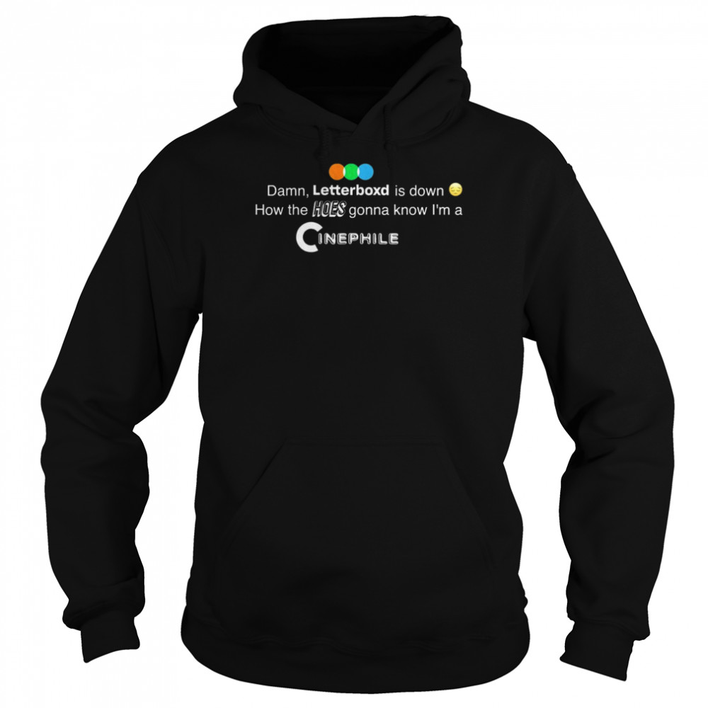 Damn, letterboxd is down How the hoes gonna know  Unisex Hoodie